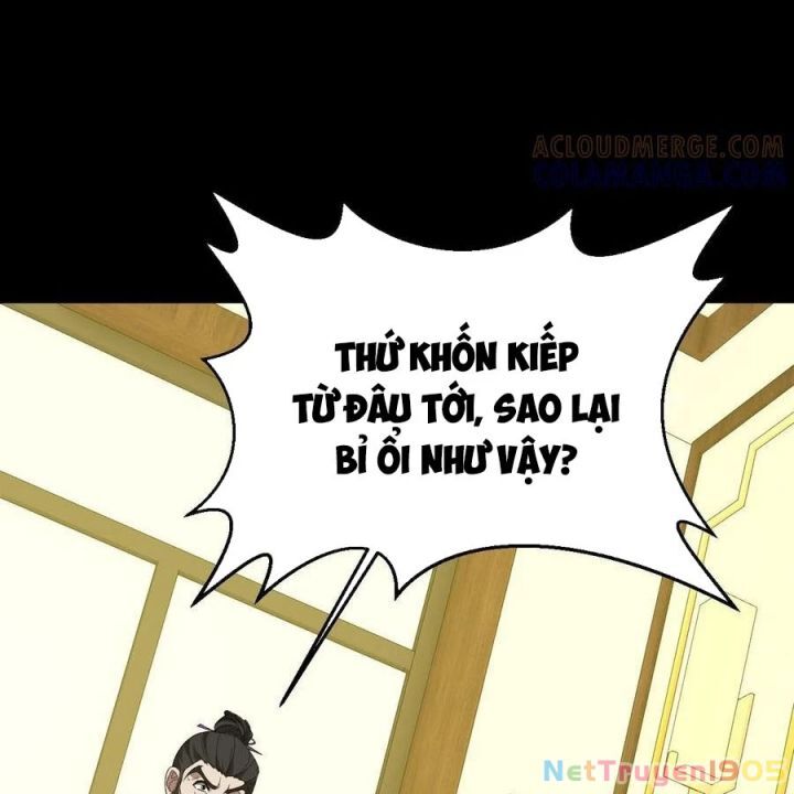 Ngày tôi sinh ra, bách quỷ dạ hành, tuyết thi hộ đạo