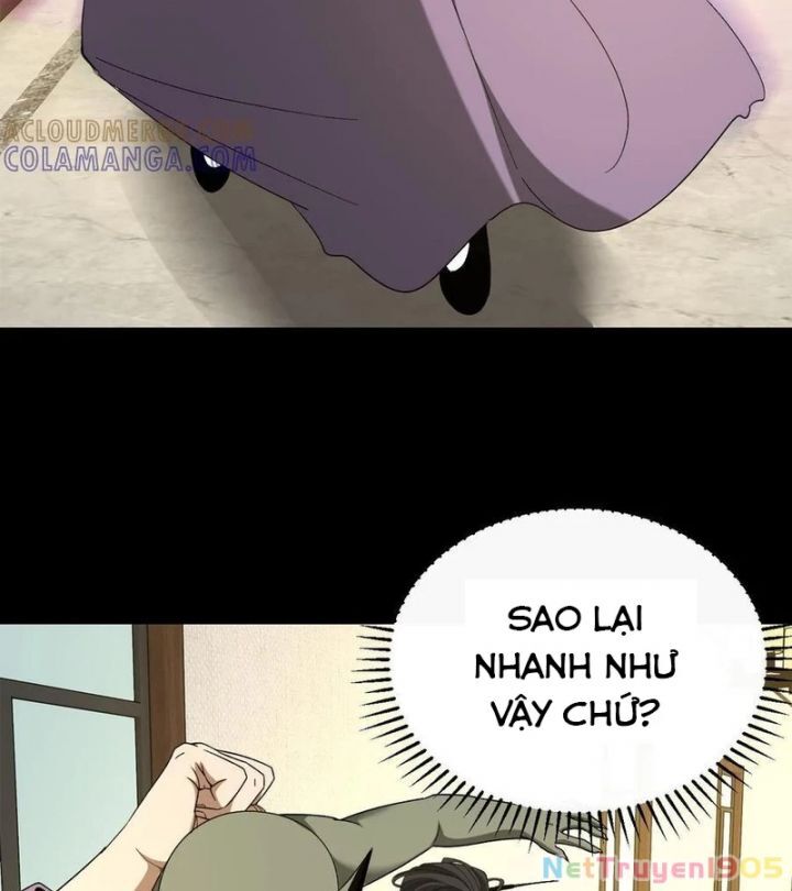Ngày tôi sinh ra, bách quỷ dạ hành, tuyết thi hộ đạo