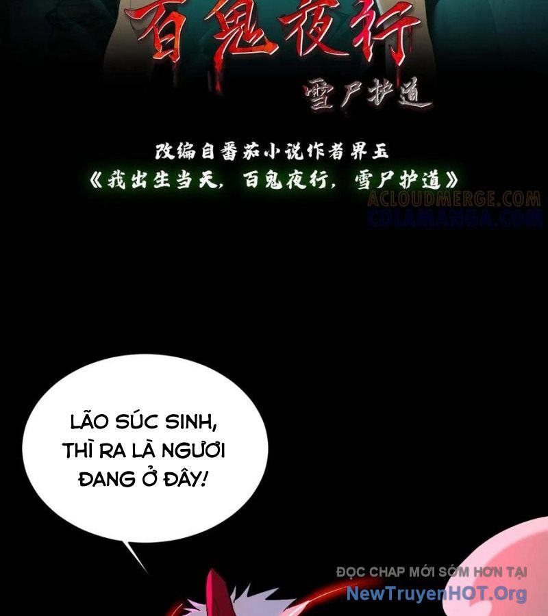 Ngày tôi sinh ra, bách quỷ dạ hành, tuyết thi hộ đạo