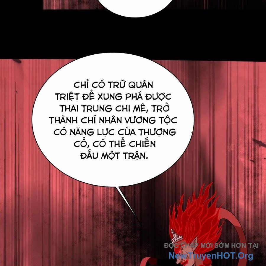 Ngày tôi sinh ra, bách quỷ dạ hành, tuyết thi hộ đạo