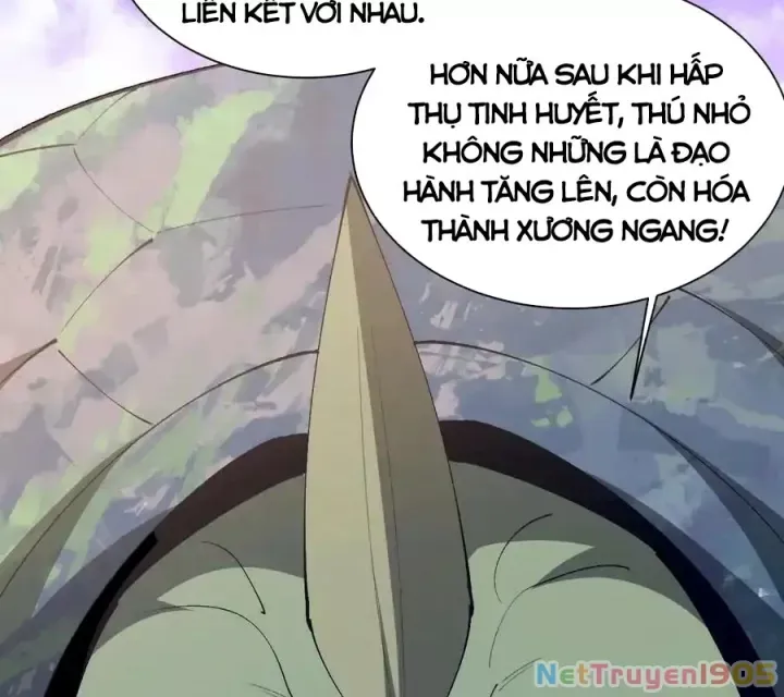 Ngày tôi sinh ra, bách quỷ dạ hành, tuyết thi hộ đạo