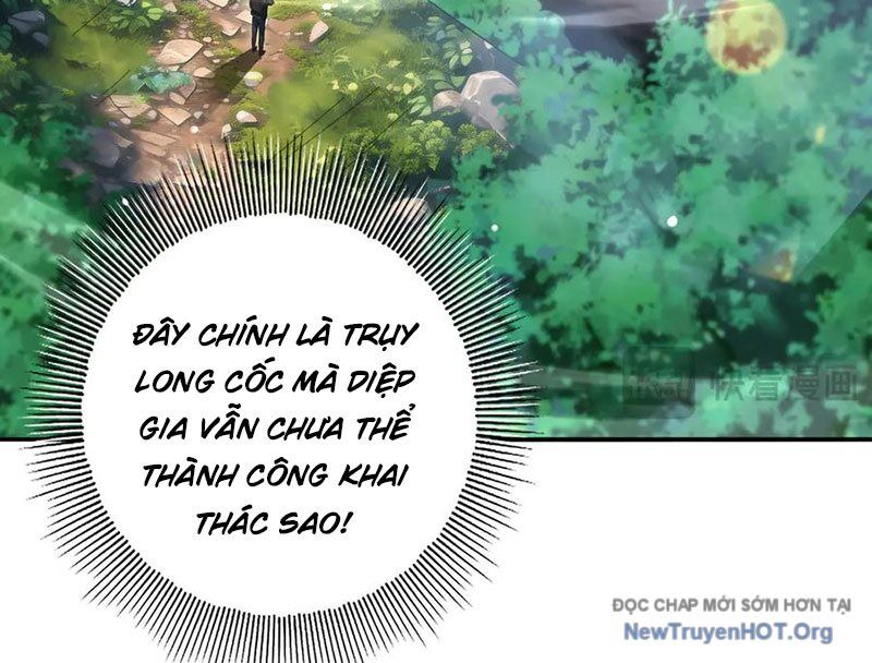 Toàn dân chuyển chức: Ngự Long sư là chức nghiệp yếu nhất?