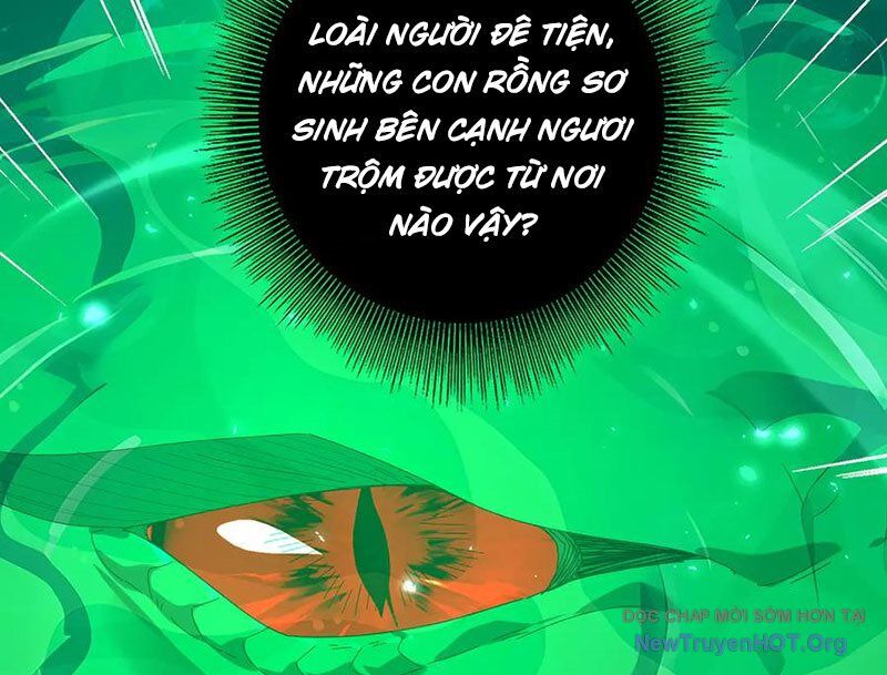 Toàn dân chuyển chức: Ngự Long sư là chức nghiệp yếu nhất?