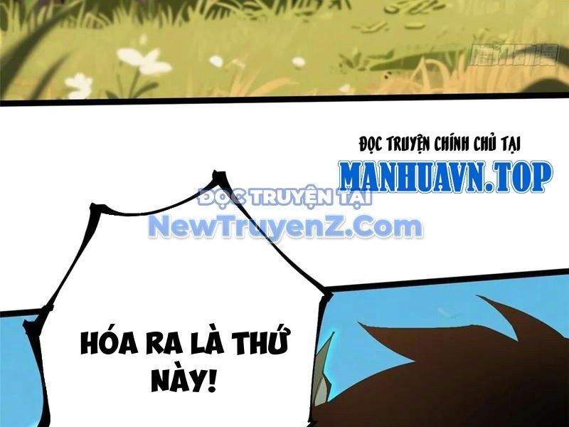 Ta Thật Không Muốn Học Cấm Chú