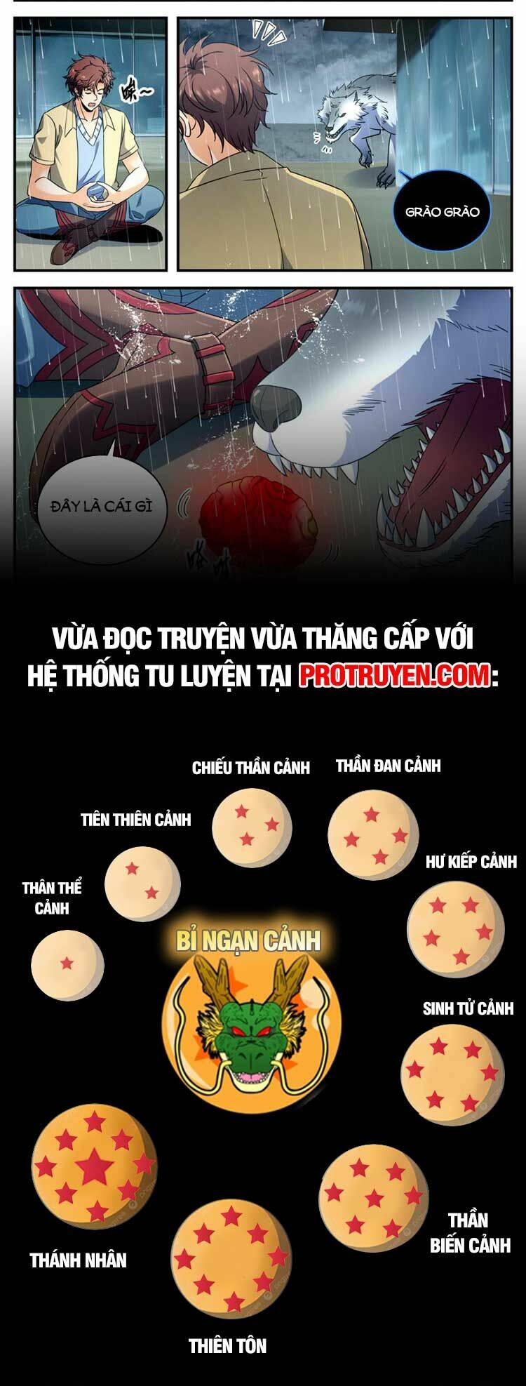 Toàn Chức Pháp Sư