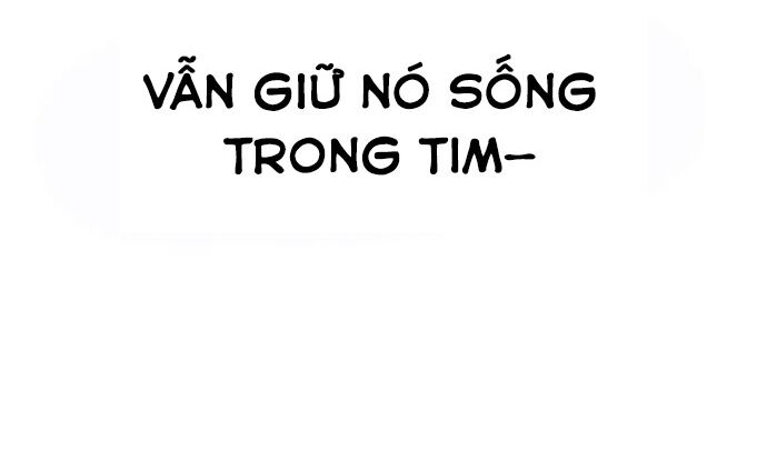 Chiến Binh Hồi Quy