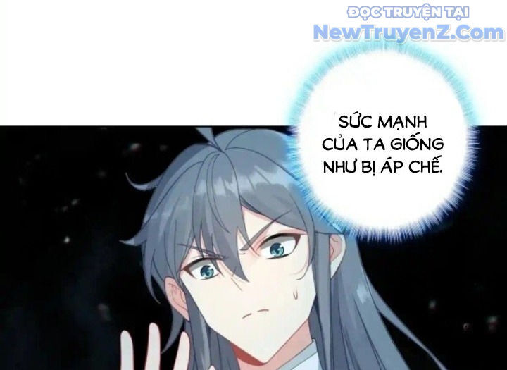 Duy Ngã Độc Tiên