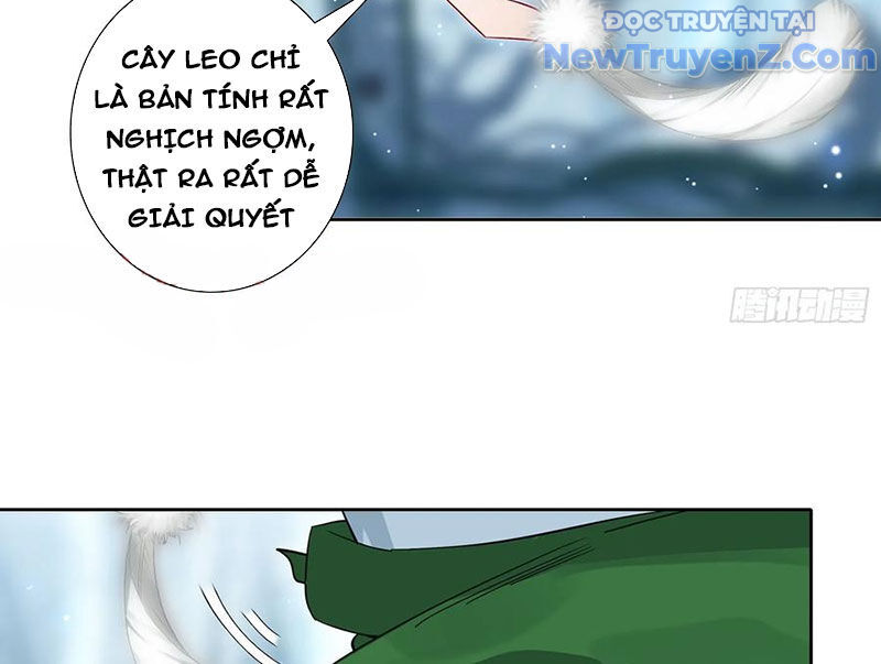 Duy Ngã Độc Tiên