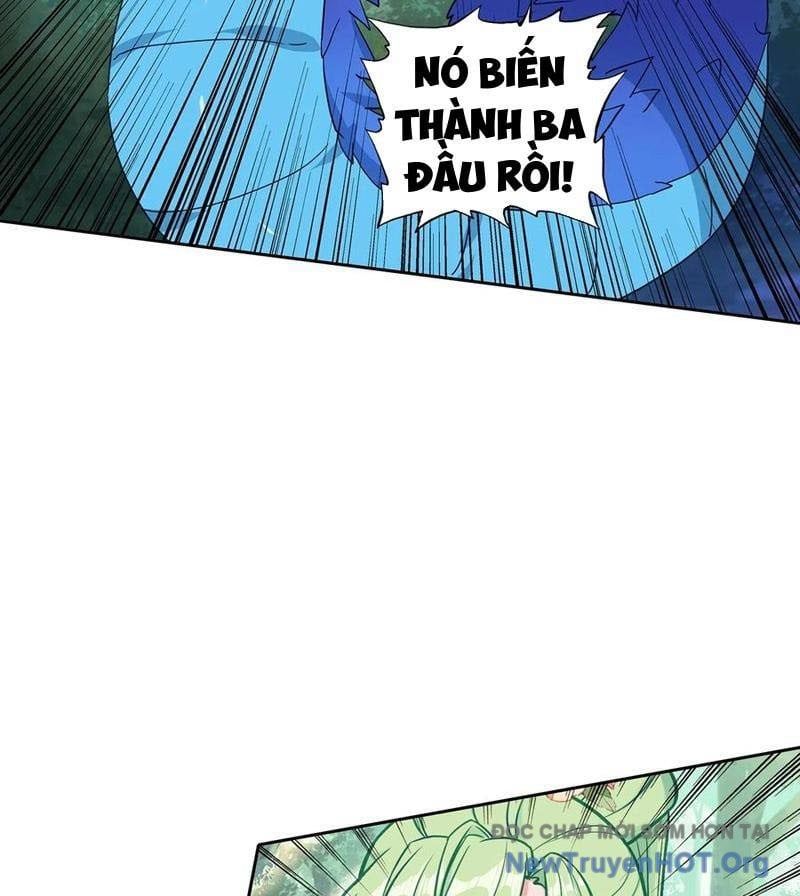 Duy Ngã Độc Tiên