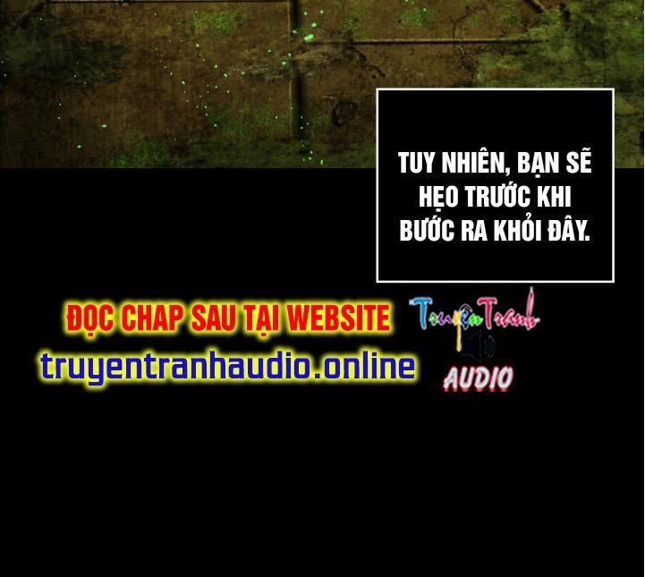 Vua Trộm Mộ