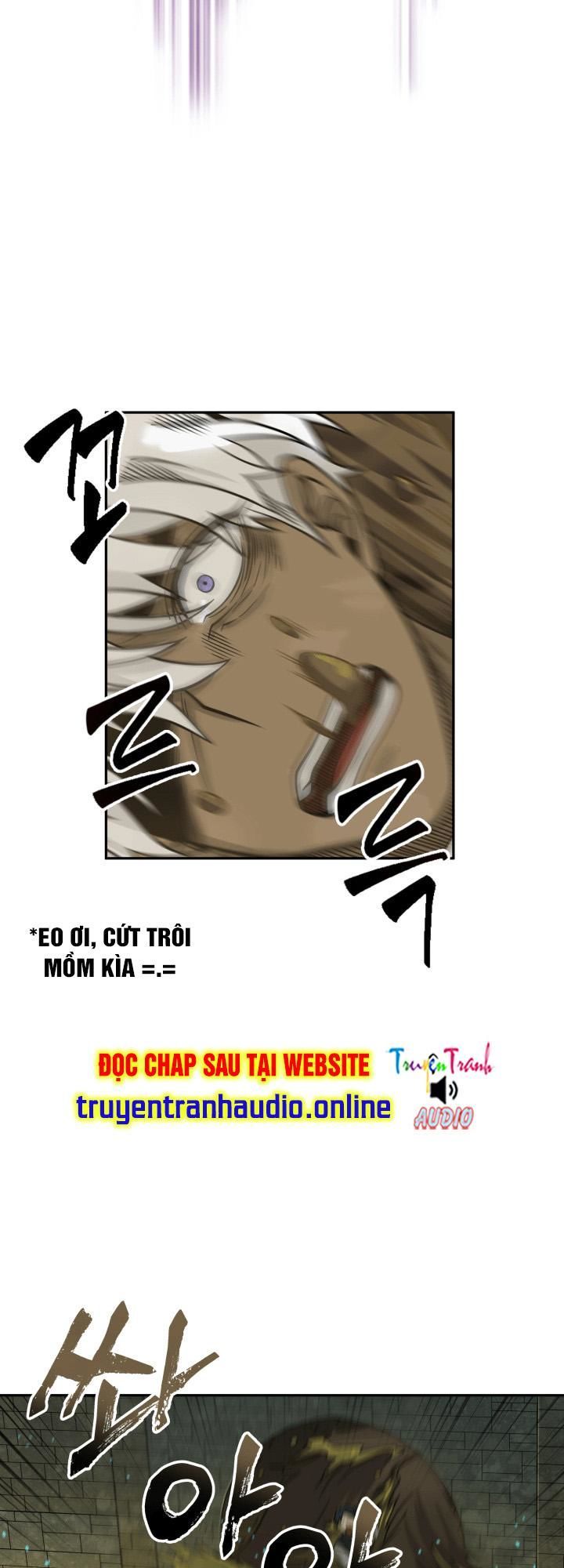 Vua Trộm Mộ