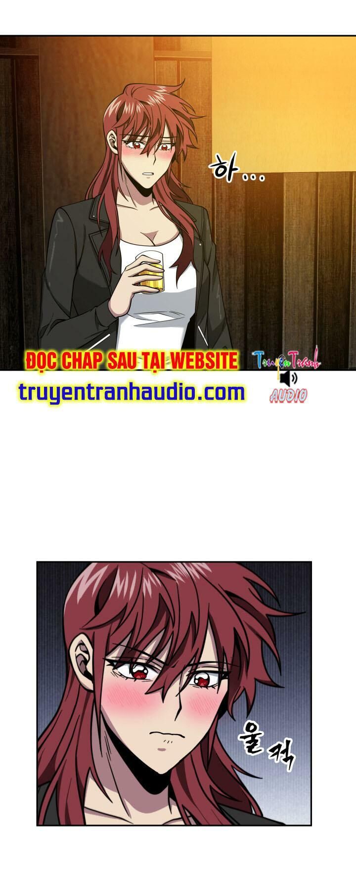 Vua Trộm Mộ