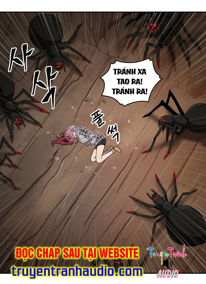 Vua Trộm Mộ