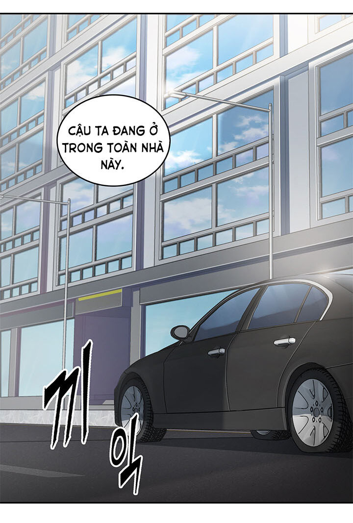 Vua Trộm Mộ