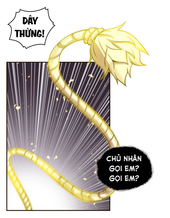 Vua Trộm Mộ