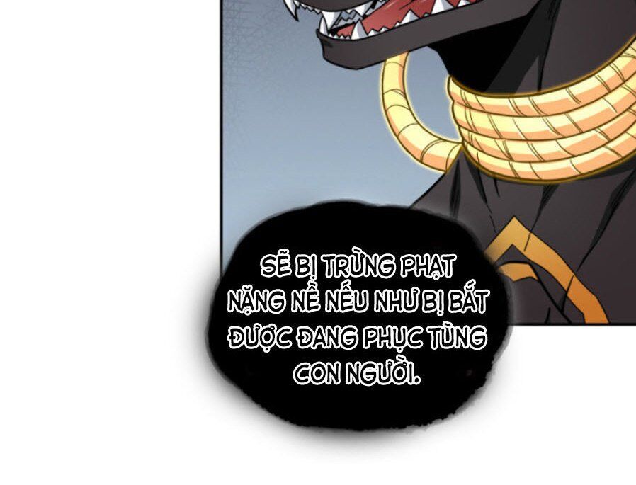 Vua Trộm Mộ