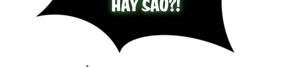 Vua Trộm Mộ