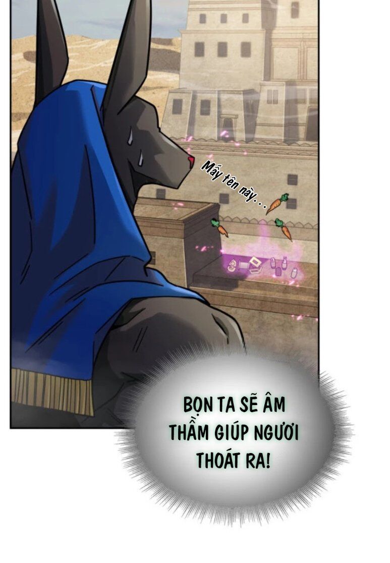 Vua Trộm Mộ