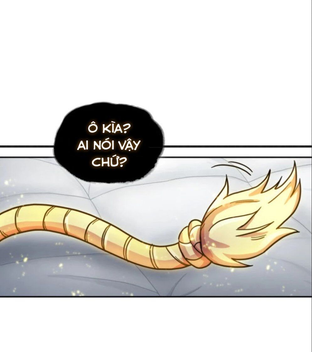 Vua Trộm Mộ