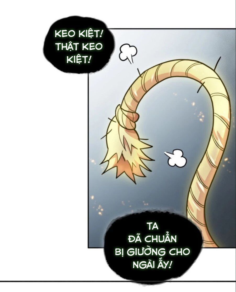Vua Trộm Mộ