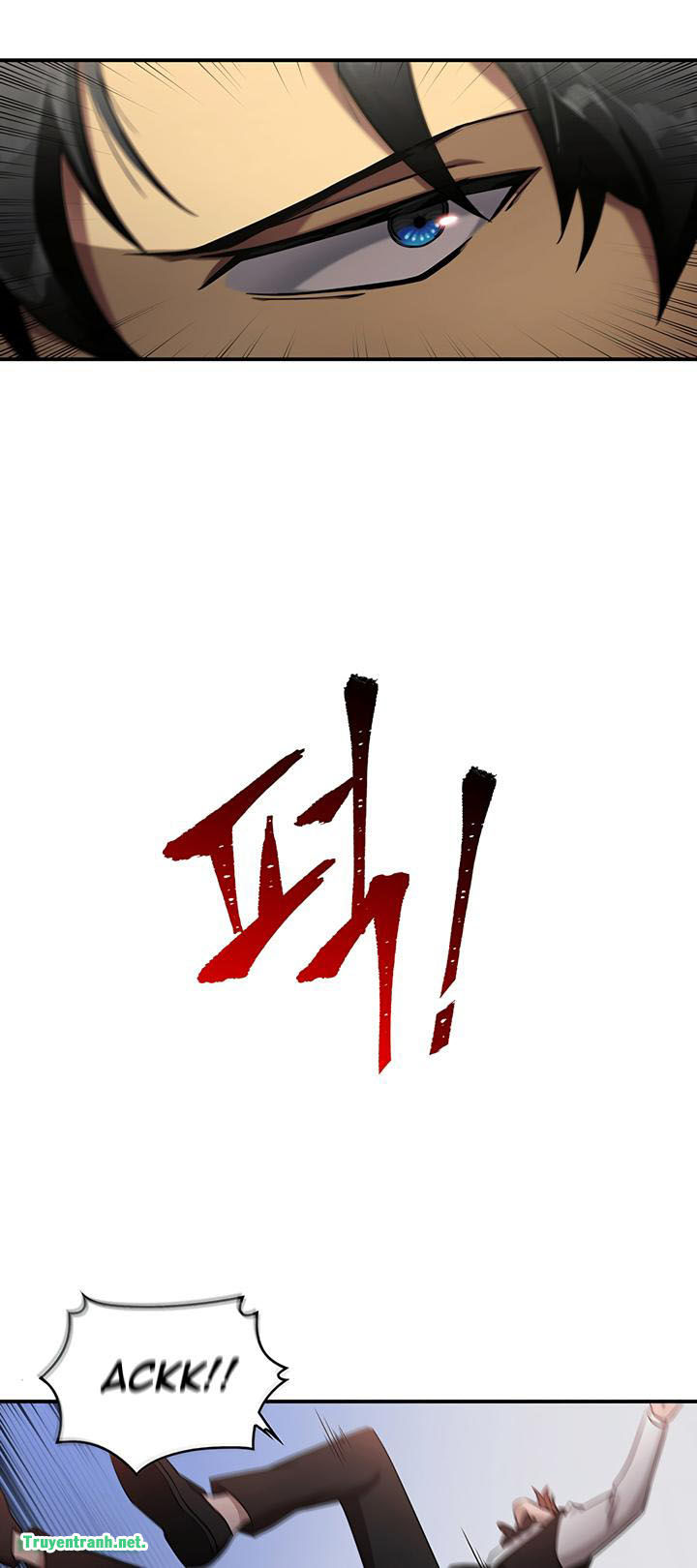 Vua Trộm Mộ