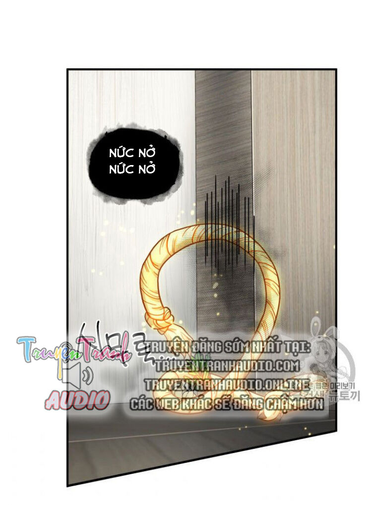 Vua Trộm Mộ