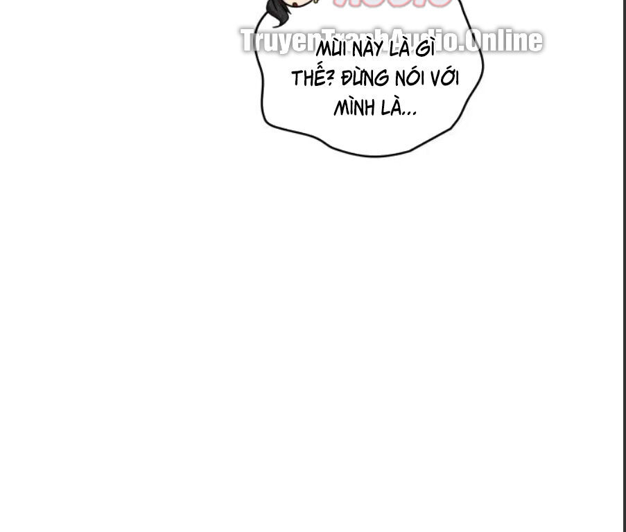 Vua Trộm Mộ