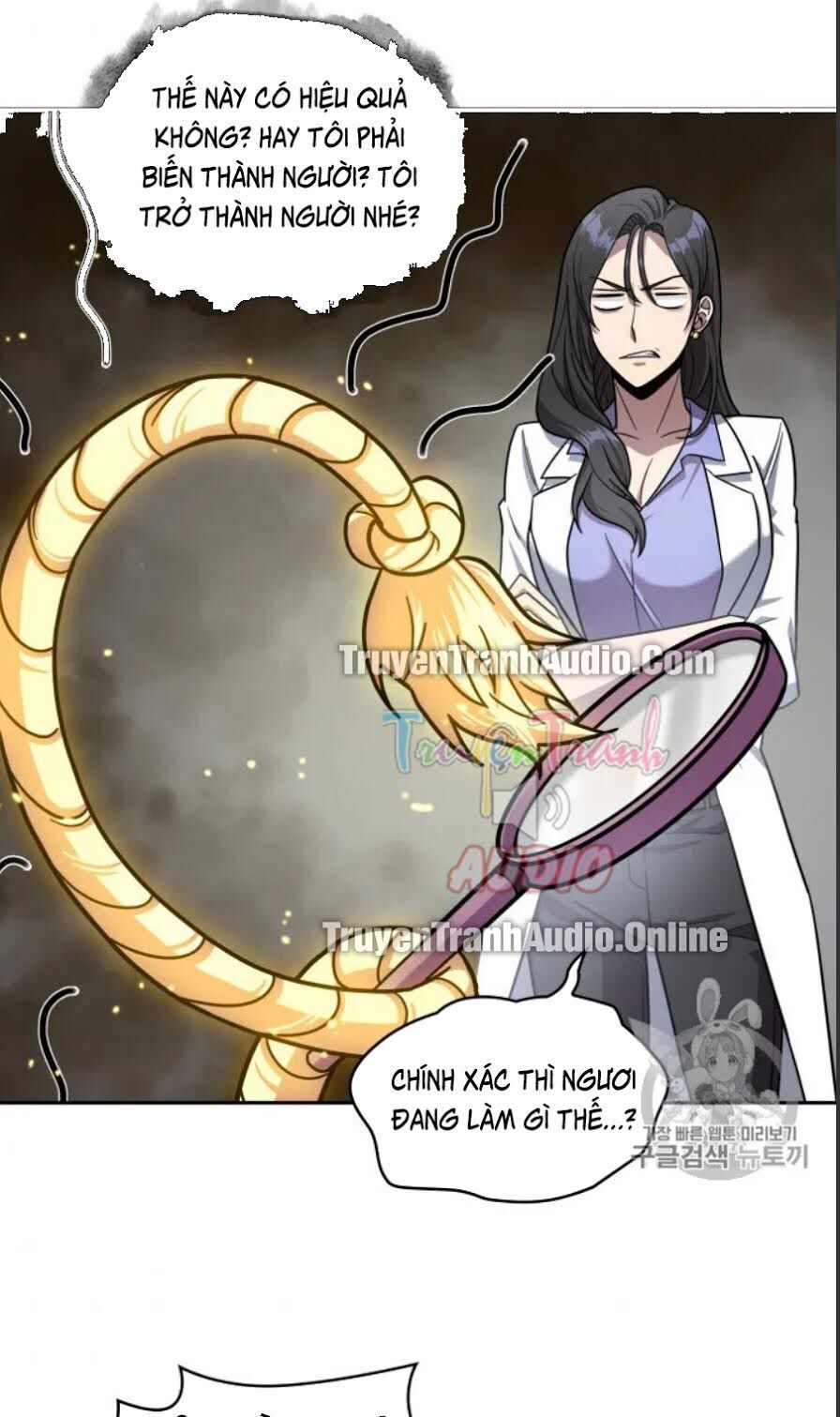 Vua Trộm Mộ