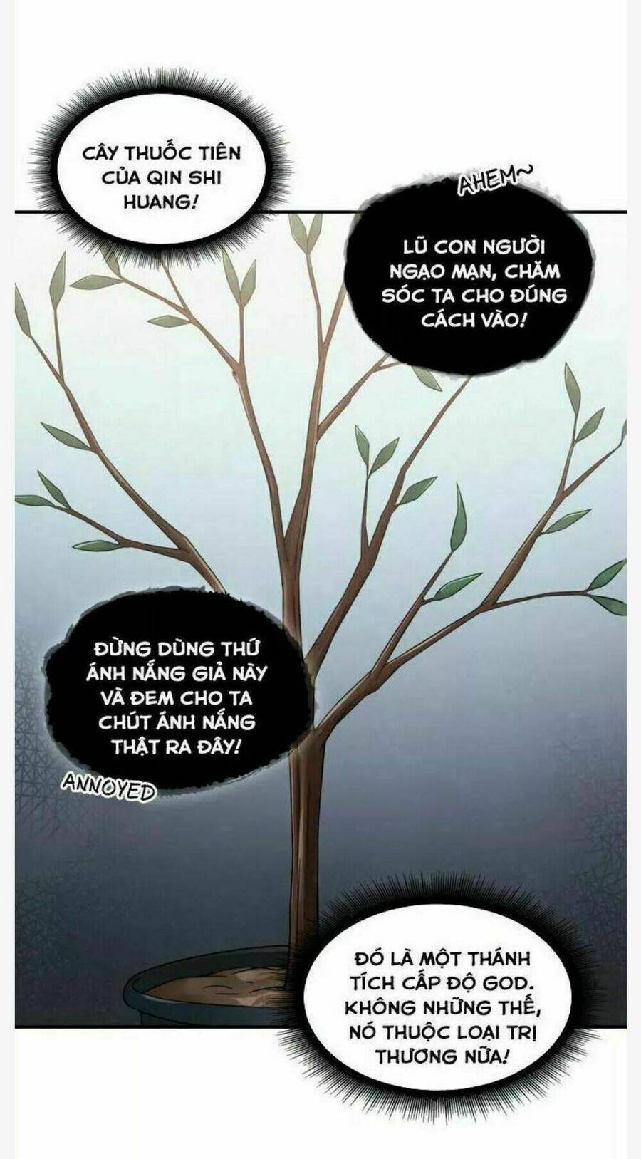 Vua Trộm Mộ