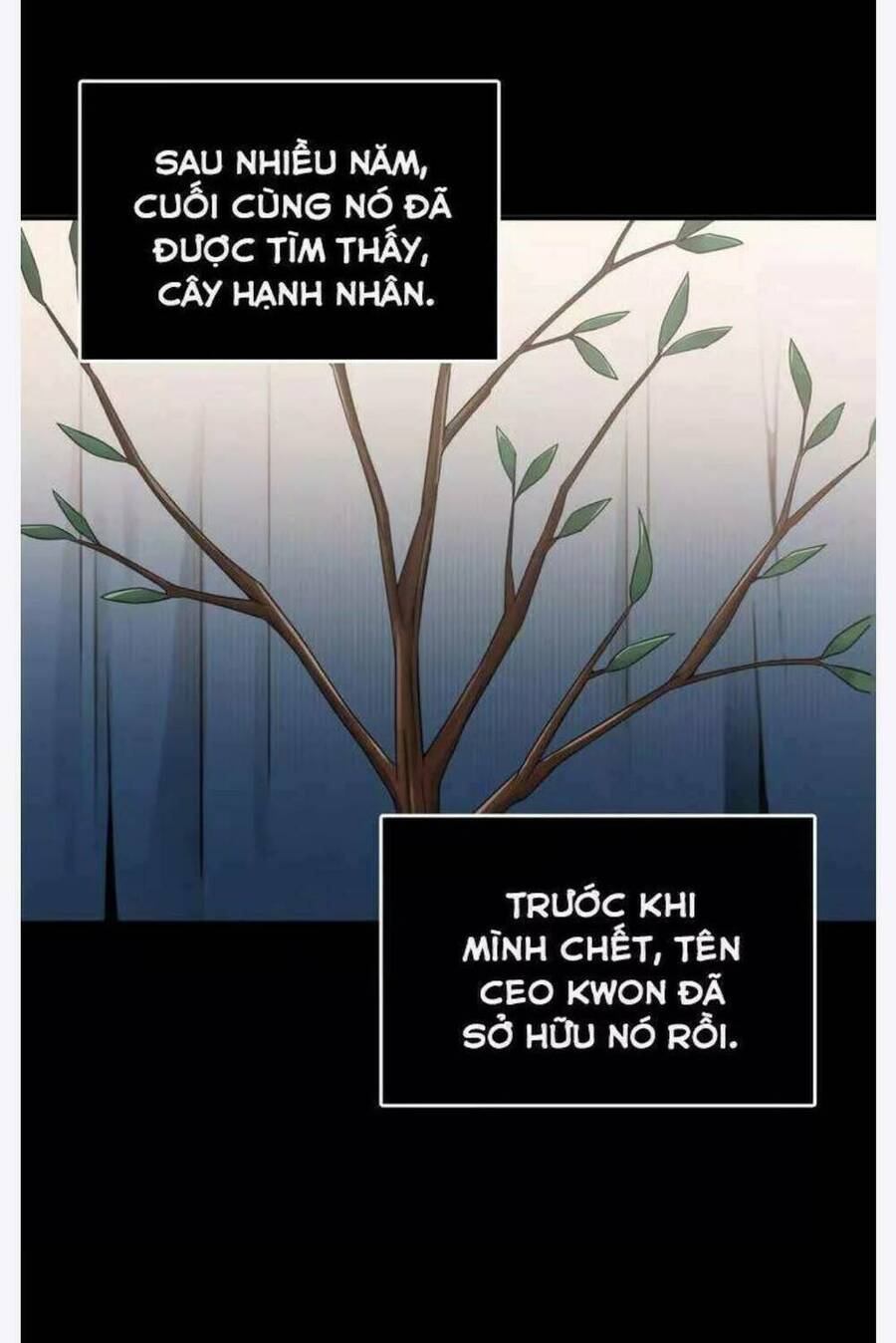 Vua Trộm Mộ