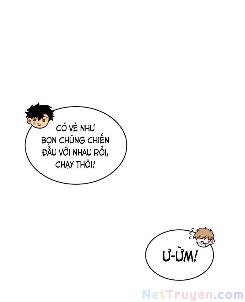 Vua Trộm Mộ