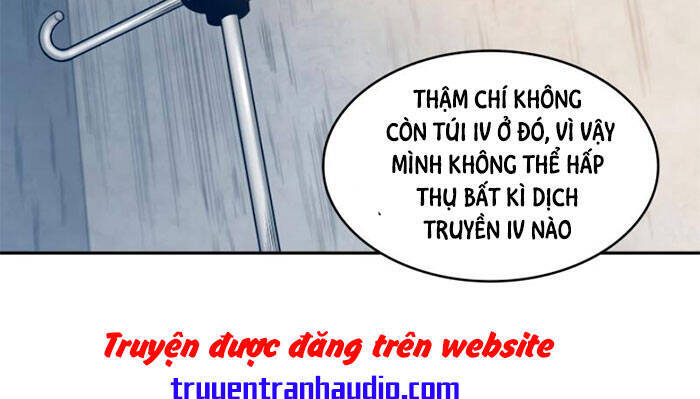 Vua Trộm Mộ