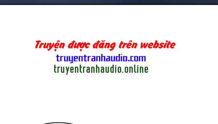 Vua Trộm Mộ