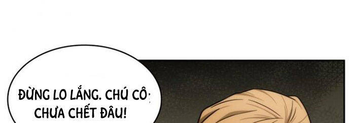 Vua Trộm Mộ