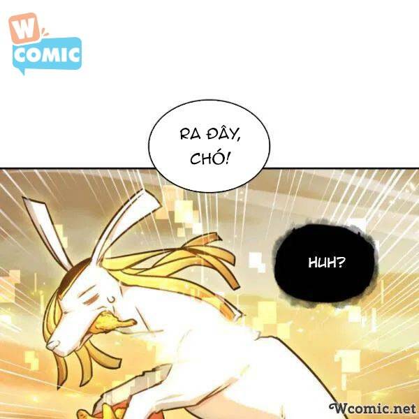 Vua Trộm Mộ