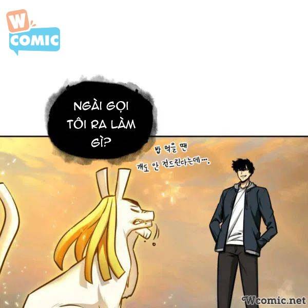 Vua Trộm Mộ