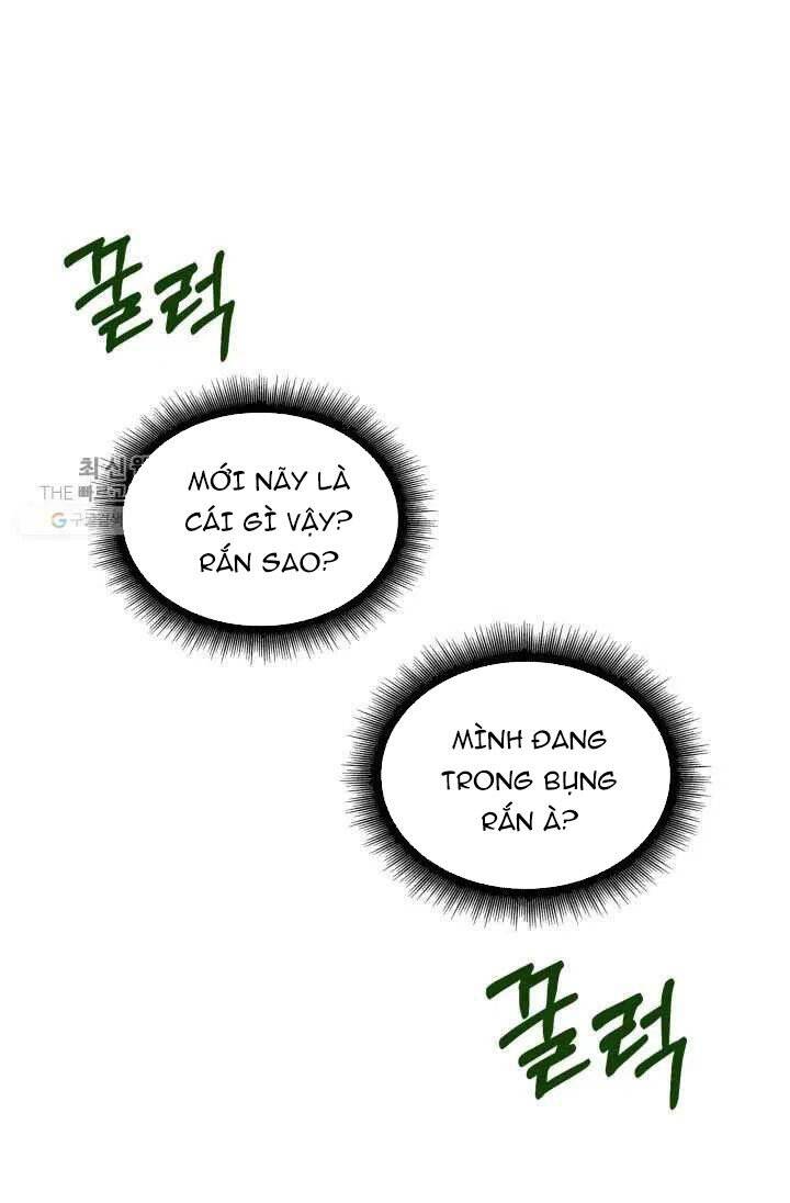 Vua Trộm Mộ