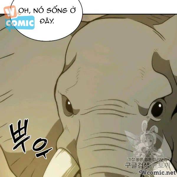 Vua Trộm Mộ