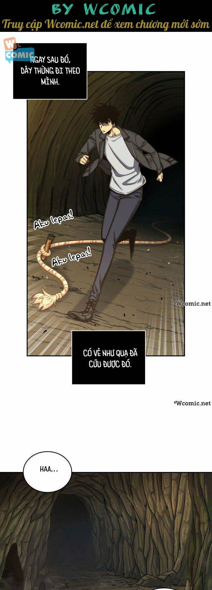 Vua Trộm Mộ