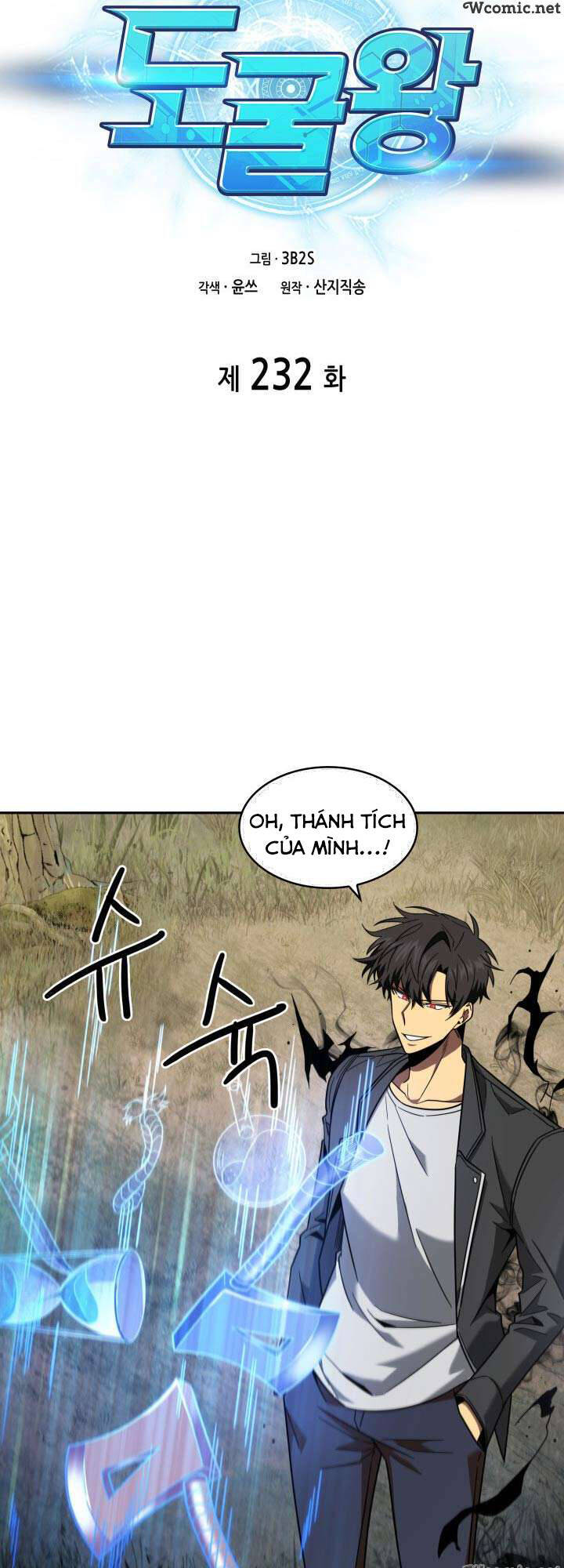 Vua Trộm Mộ