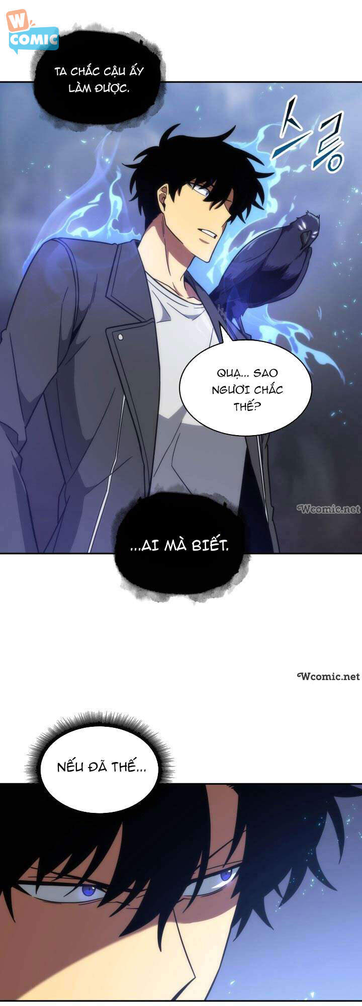Vua Trộm Mộ