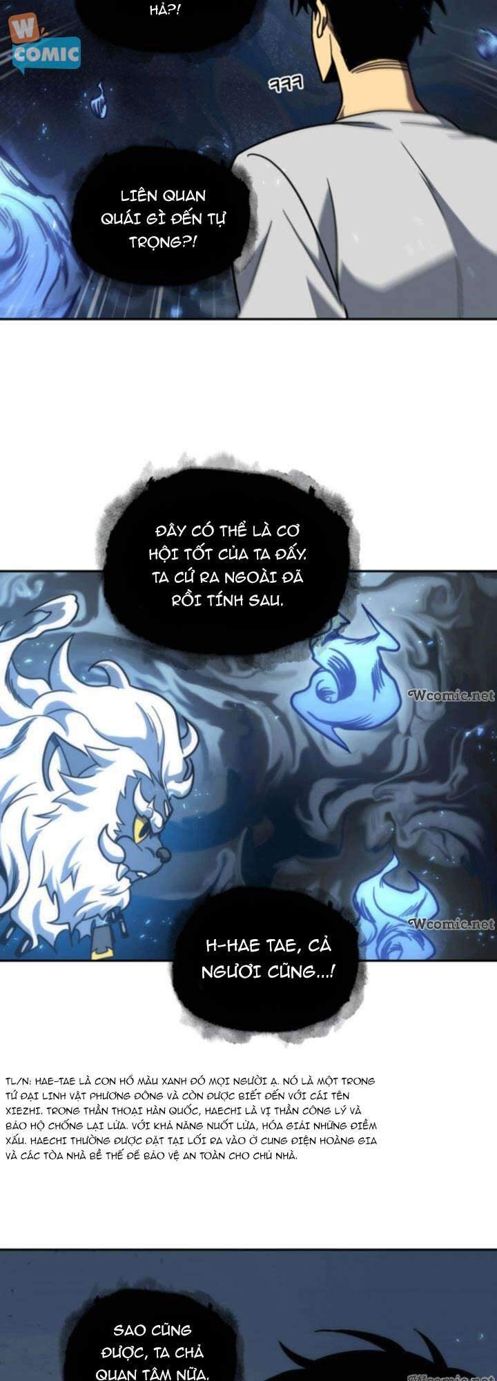 Vua Trộm Mộ