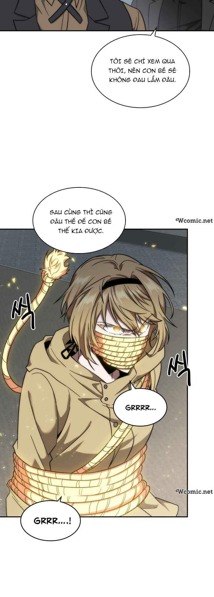 Vua Trộm Mộ