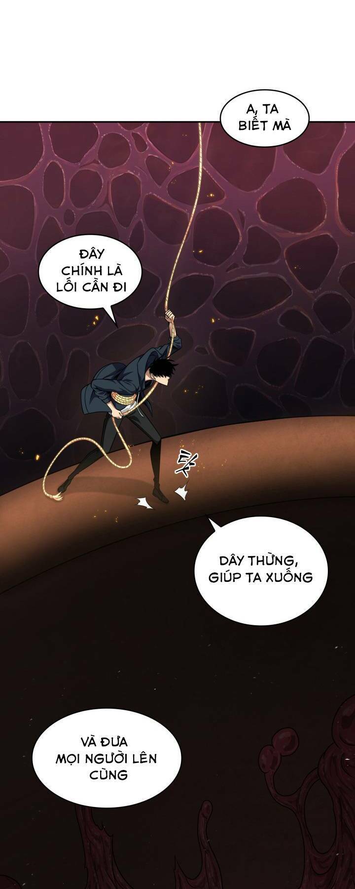 Vua Trộm Mộ