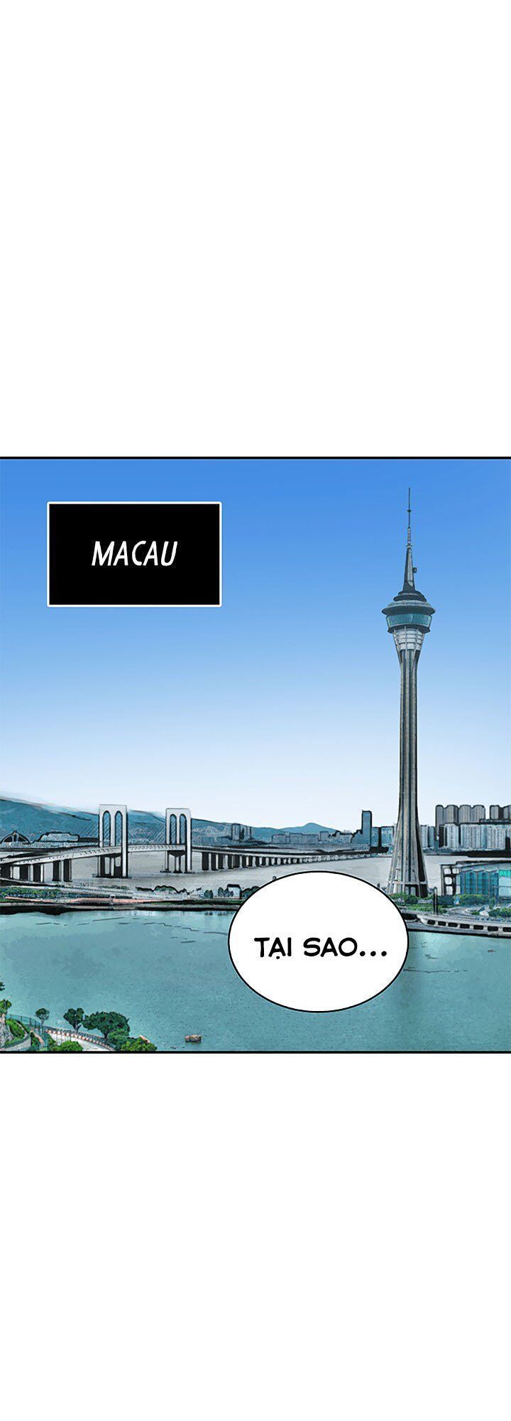 Vua Trộm Mộ