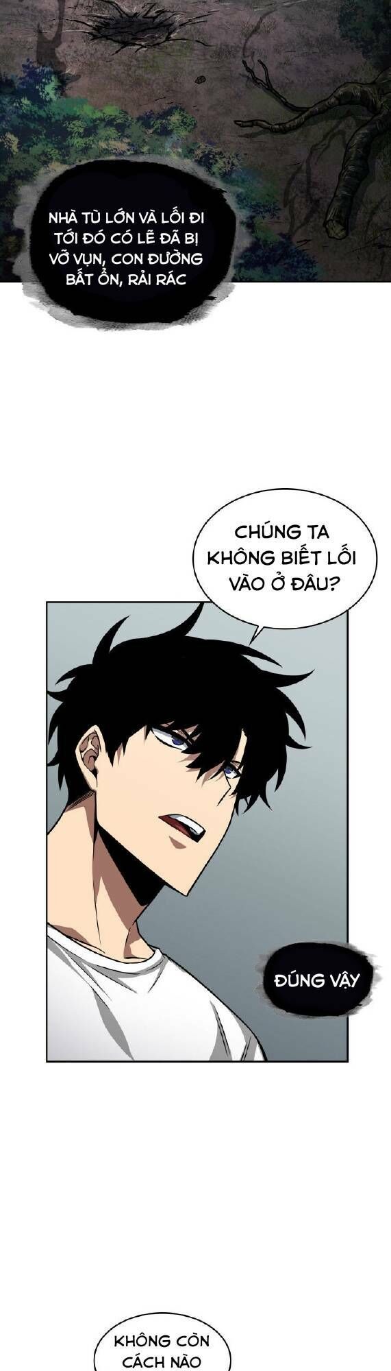 Vua Trộm Mộ