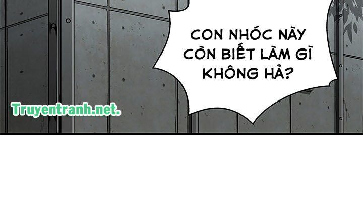 Vua Trộm Mộ