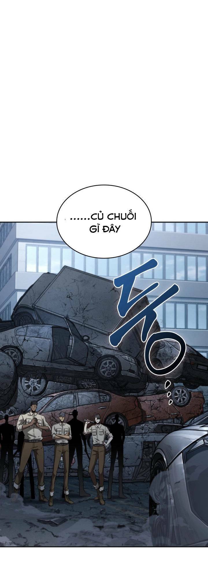 Vua Trộm Mộ