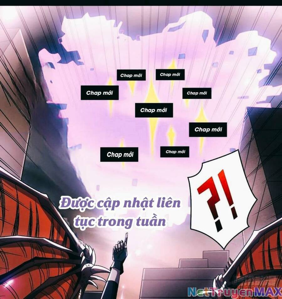 Vua Trộm Mộ