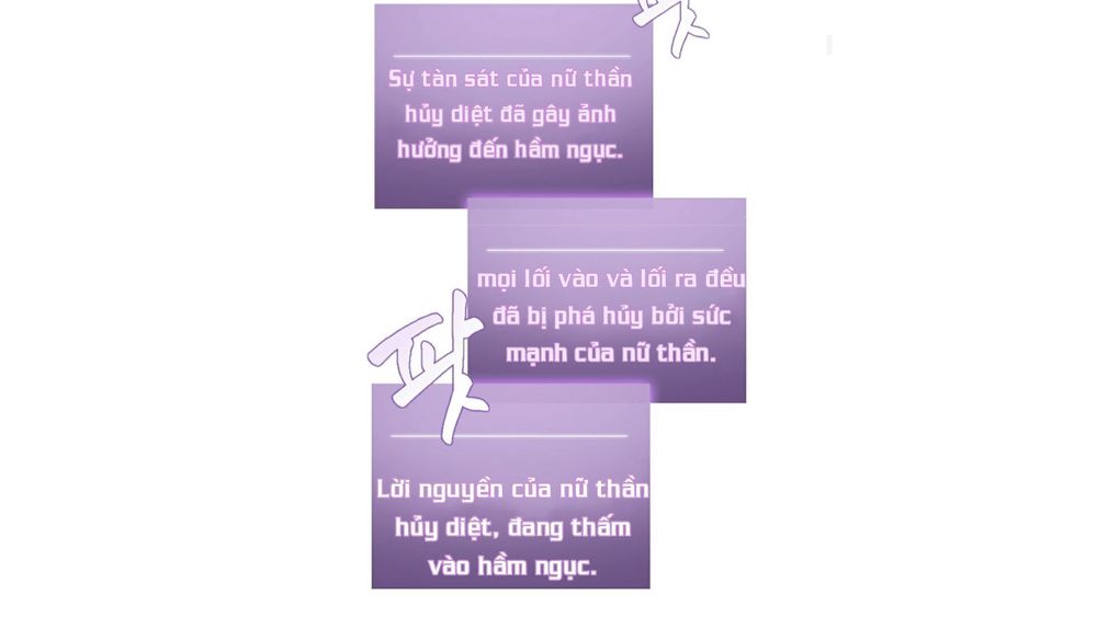 Vua Trộm Mộ